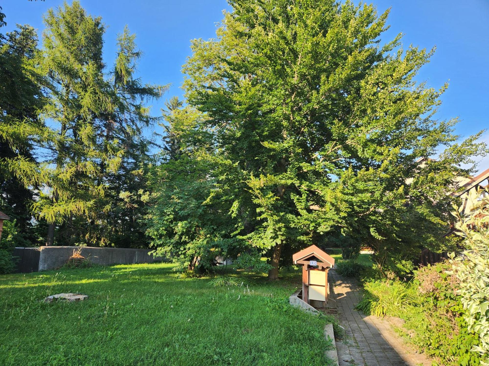 Appartement T3 Avec Jardin Proche Village Saint-Bonnet-en-Champsaur Buitenkant foto