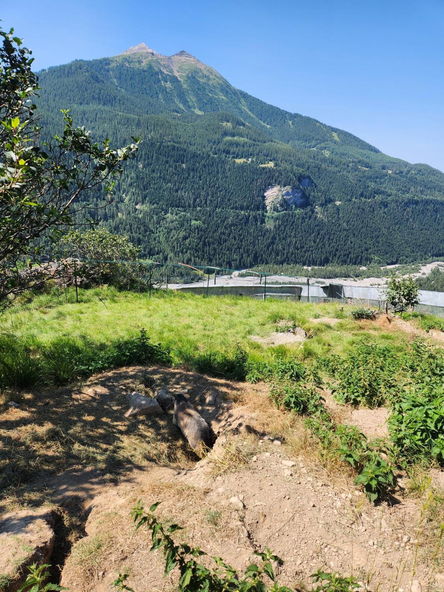 Appartement T3 Avec Jardin Proche Village Saint-Bonnet-en-Champsaur Buitenkant foto